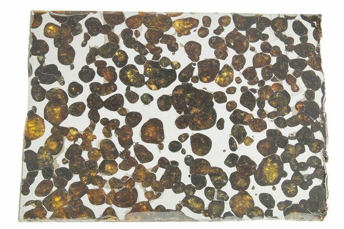 Sericho Pallasite Meteorite ( g) Slice - Kenya #375622